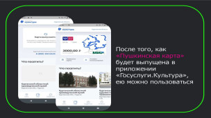Пушкинская карта 12